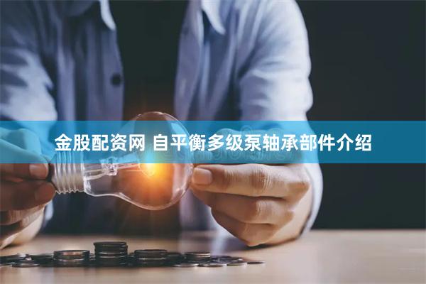 金股配资网 自平衡多级泵轴承部件介绍