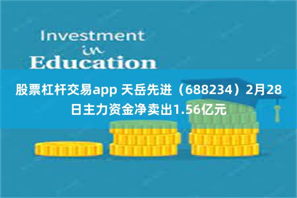 股票杠杆交易app 天岳先进（688234）2月28日主力资金净卖出1.56亿元