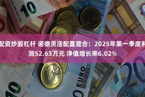 配资炒股杠杆 诺德灵活配置混合：2025年第一季度利润52.63万元 净值增长率6.02%