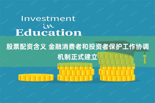 股票配资含义 金融消费者和投资者保护工作协调机制正式建立