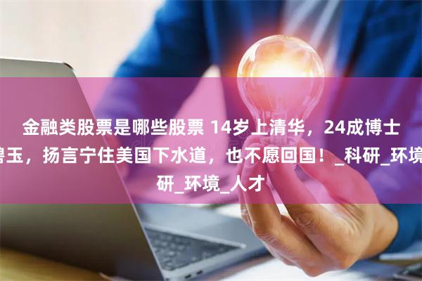 金融类股票是哪些股票 14岁上清华，24成博士的何碧玉，扬言宁住美国下水道，也不愿回国！_科研_环境_人才