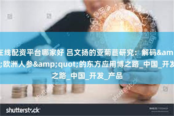在线配资平台哪家好 吕文扬的亚菊苣研究：解码&quot;欧洲人参&quot;的东方应用博之路_中国_开发_产品