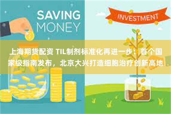 上海期货配资 TIL制剂标准化再进一步：首个国家级指南发布，北京大兴打造细胞治疗创新高地