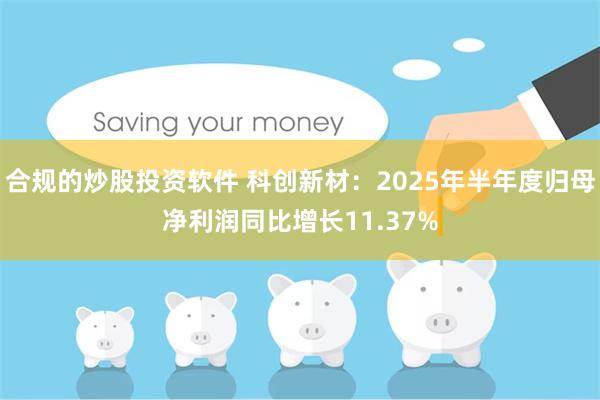 合规的炒股投资软件 科创新材：2025年半年度归母净利润同比增长11.37%