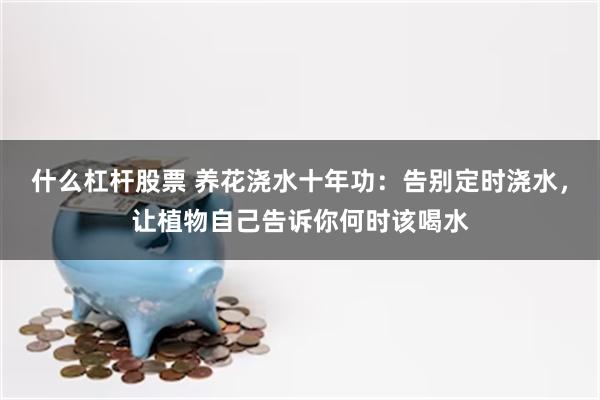 什么杠杆股票 养花浇水十年功：告别定时浇水，让植物自己告诉你何时该喝水